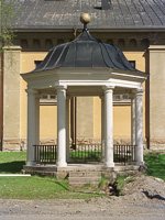 aviljong