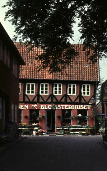 Ribe