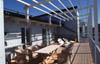 Trähus 2001-5