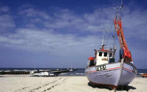 Fiskebt