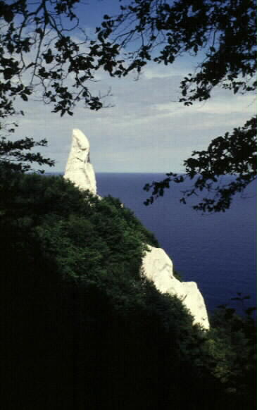 Mns klint
