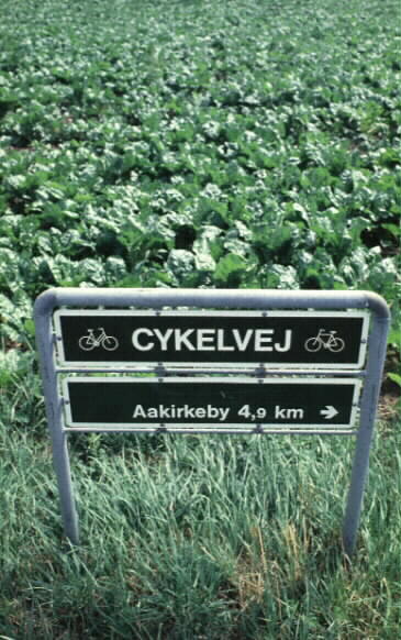 Cykelvg