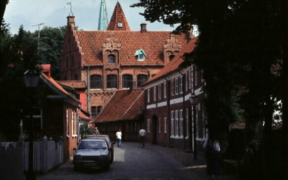Ribe
