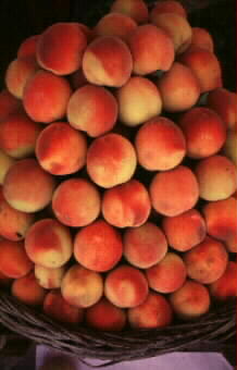 Frukt